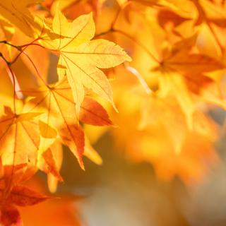 Sprzątanie Świata 2025